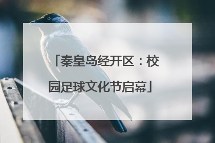 秦皇岛经开区：校园足球文化节启幕