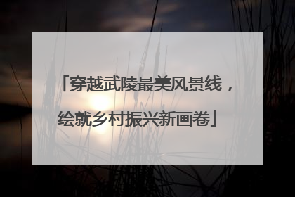 穿越武陵最美风景线，绘就乡村振兴新画卷