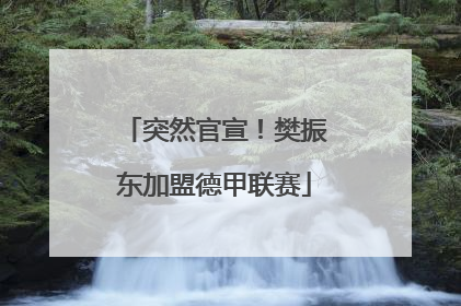 突然官宣！樊振东加盟德甲联赛