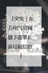 突发｜东方电气官网撤下董事长俞培根信息