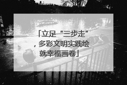 立足“三步走”，多彩文明实践绘就幸福画卷