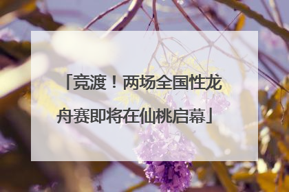 竞渡！两场全国性龙舟赛即将在仙桃启幕