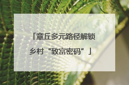 章丘多元路径解锁乡村“致富密码”