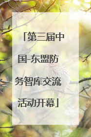 第三届中国-东盟防务智库交流活动开幕