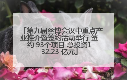第九届丝博会汉中重点产业推介暨签约活动举行 签约 93个项目 总投资132.23 亿元