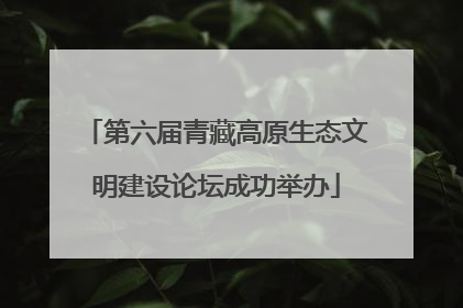 第六届青藏高原生态文明建设论坛成功举办