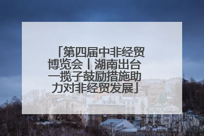 第四届中非经贸博览会丨湖南出台一揽子鼓励措施助力对非经贸发展