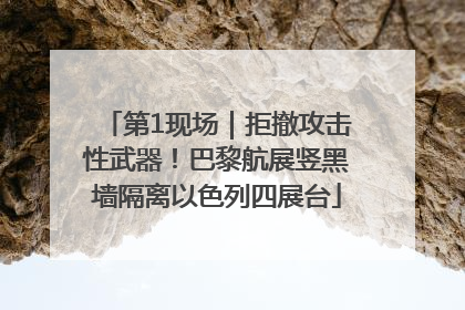 第1现场｜拒撤攻击性武器！巴黎航展竖黑墙隔离以色列四展台