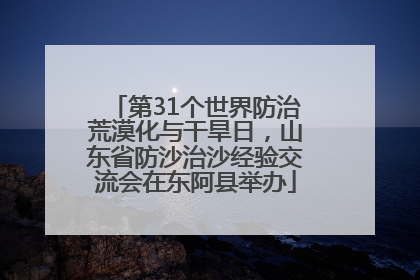 第31个世界防治荒漠化与干旱日，山东省防沙治沙经验交流会在东阿县举办