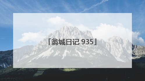 翁城日记 935