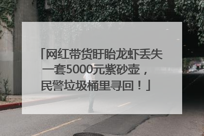 网红带货盱眙龙虾丢失一套5000元紫砂壶，民警垃圾桶里寻回！