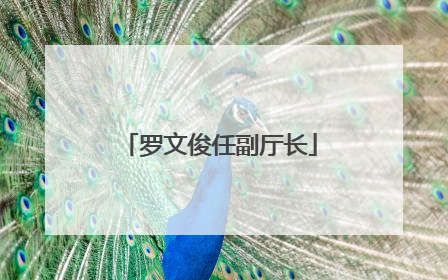 罗文俊任副厅长