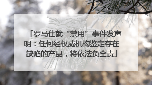 罗马仕就“禁用”事件发声明：任何经权威机构鉴定存在缺陷的产品，将依法负全责