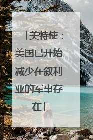 美特使：美国已开始减少在叙利亚的军事存在
