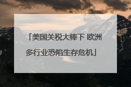 美国关税大棒下 欧洲多行业恐陷生存危机