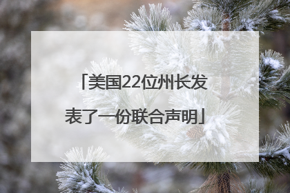 美国22位州长发表了一份联合声明
