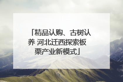 精品认购、古树认养 河北迁西探索板栗产业新模式