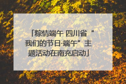 粽情端午 四川省“我们的节日·端午”主题活动在南充启动