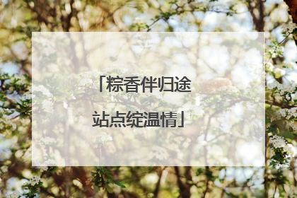 粽香伴归途 站点绽温情