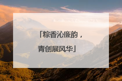 粽香沁廉韵，青创展风华