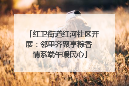 红卫街道红河社区开展：邻里齐聚享粽香 情系端午暖民心