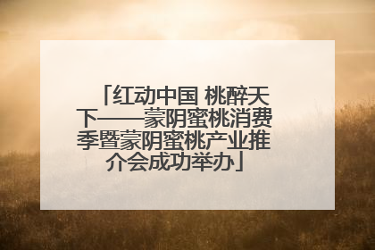 红动中国 桃醉天下——蒙阴蜜桃消费季暨蒙阴蜜桃产业推介会成功举办