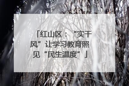 红山区：“实干风”让学习教育照见“民生温度”
