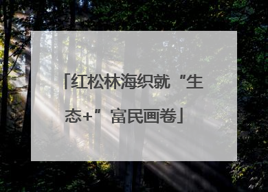 红松林海织就“生态+”富民画卷