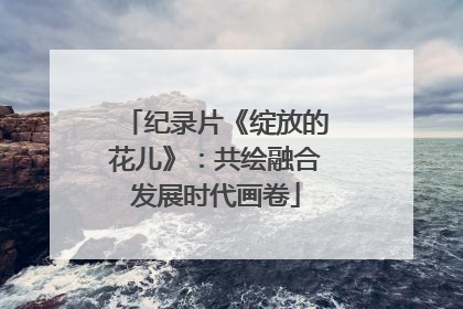 纪录片《绽放的花儿》：共绘融合发展时代画卷