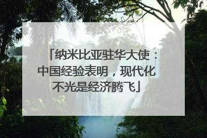 纳米比亚驻华大使：中国经验表明，现代化不光是经济腾飞