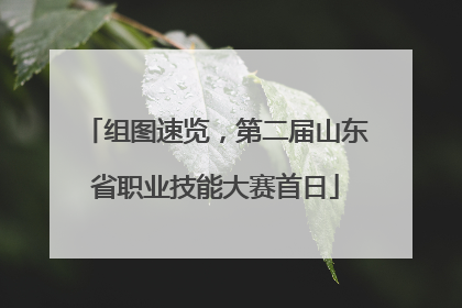 组图速览，第二届山东省职业技能大赛首日