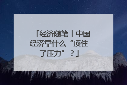 经济随笔丨中国经济靠什么“顶住了压力”？