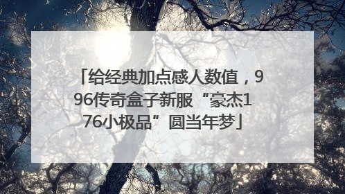 给经典加点感人数值，996传奇盒子新服“豪杰176小极品”圆当年梦