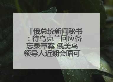 俄总统新闻秘书：待乌克兰回应备忘录草案 俄美乌领导人近期会晤可能性小