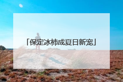 保定冰柿成夏日新宠