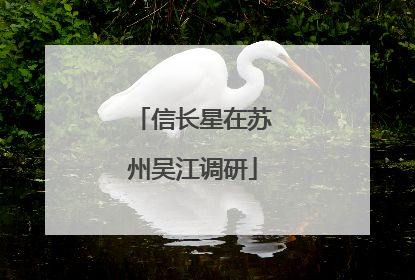 信长星在苏州吴江调研