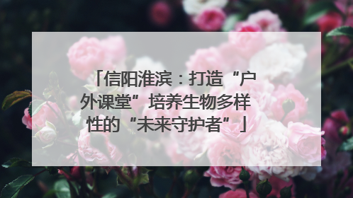 信阳淮滨：打造“户外课堂”培养生物多样性的“未来守护者”
