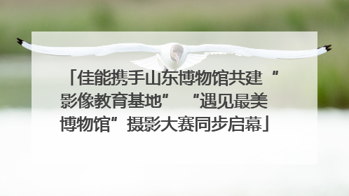 佳能携手山东博物馆共建“影像教育基地” “遇见最美博物馆”摄影大赛同步启幕
