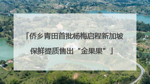 侨乡青田首批杨梅启程新加坡 保鲜提质售出“金果果”