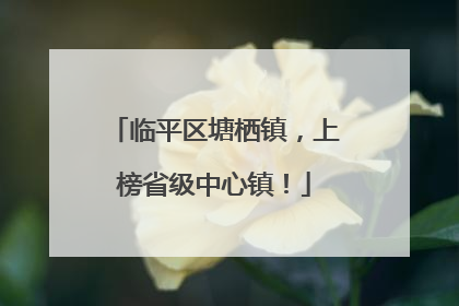 临平区塘栖镇，上榜省级中心镇！