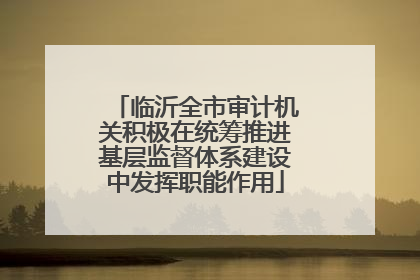 临沂全市审计机关积极在统筹推进基层监督体系建设中发挥职能作用
