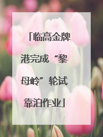 临高金牌港完成“黎母岭”轮试靠泊作业