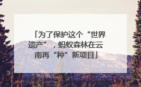 为了保护这个“世界遗产”，蚂蚁森林在云南再“种”新项目