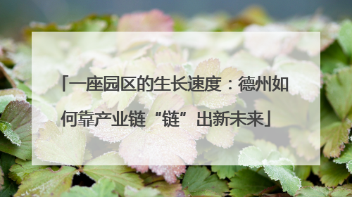 一座园区的生长速度：德州如何靠产业链“链”出新未来