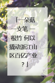 一朵菇 一支笔 一根竹 何以撬动浙江山区百亿产业？