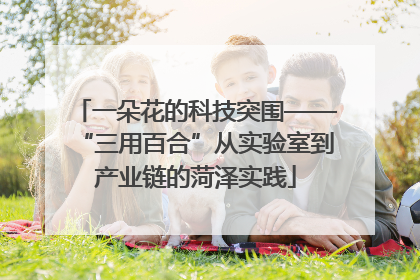 一朵花的科技突围——“三用百合”从实验室到产业链的菏泽实践