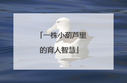 一株小葫芦里的育人智慧