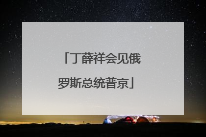 丁薛祥会见俄罗斯总统普京