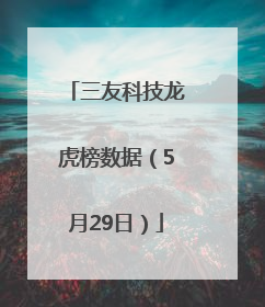 三友科技龙虎榜数据（5月29日）