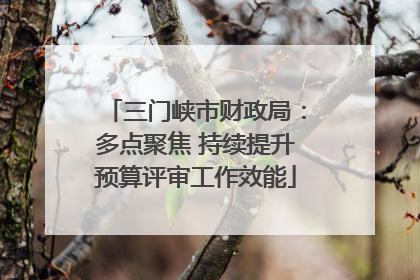 三门峡市财政局：多点聚焦 持续提升预算评审工作效能